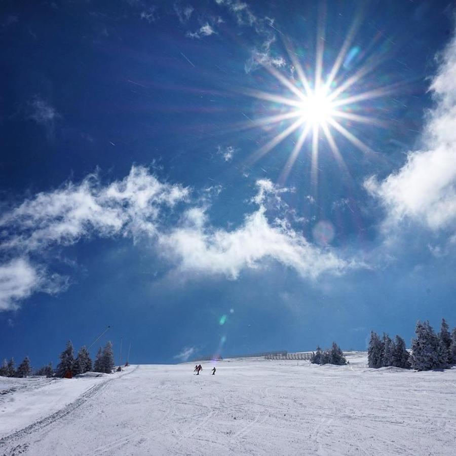 Ski & Spa Apartment N34 Milmari Resort Kopaonik Exterior foto
