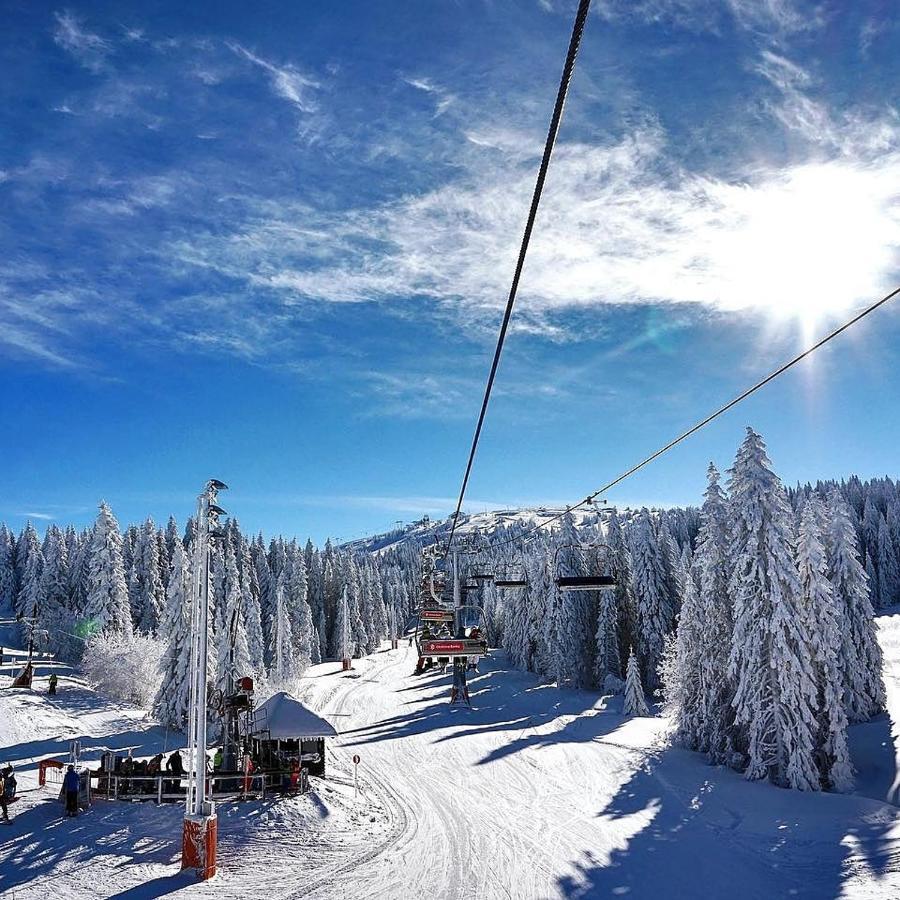 Ski & Spa Apartment N34 Milmari Resort Kopaonik Exterior foto