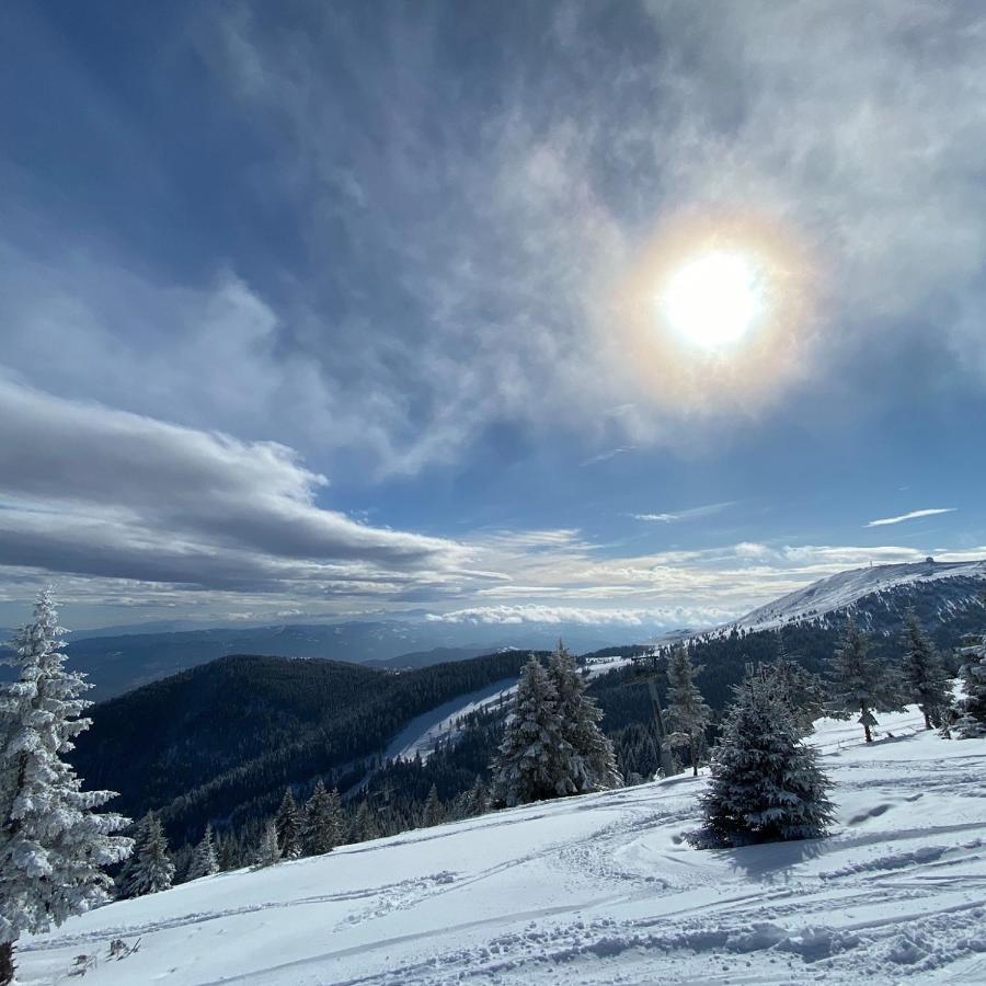 Ski & Spa Apartment N34 Milmari Resort Kopaonik Exterior foto